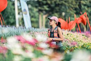 BIB: 
                            <button type="button" onclick="openModal(25933195)" class="btn btn-primary btn-sm float-right btn-popup" data-toggle="modal" data-target=".modal-high-quality">
                        <i class="fas fa-shopping-cart"></i> Add to Cart
                    </button>
                                            <button type="button" onclick="isThisMe(25933195, true)" class="btn btn-success btn-sm float-right btn-popup btn-isme hidden" data-toggle="tooltip" data-placement="bottom" title="นี่คือรูปของคุณใช่ไหม คลิกที่นี่เพื่อเอาเข้าอัลบั้ม">
                        <i class="fas fa-plus"></i> Add to album
                    </button>
                    <button type="button" onclick="isThisMe(25933195, false)" class="btn btn-warning btn-sm float-right btn-popup btn-isnotme hidden">
                        <i class="fas fa-ban"></i> Remove from album
                    </button>